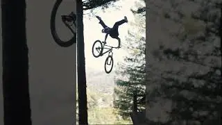 Fedko Clips for your Friday