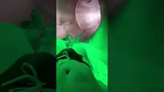 Sliding in Speedo. And than I lost them 🫣 Tiktok Viral 