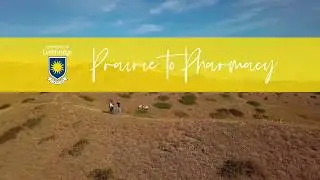 Finding Cancer Treatments in Prairie Plants