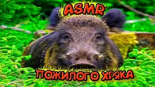 ПОХОЖДЕНИЕ КРЯКОЮЗЕРОВ НА NON-PRIME #2