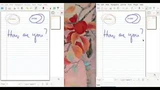 Xournalpp Collaboration Mode