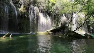 If you're tired just watch this video/Relaxing Sounds/ Nature Sounds for Sleep and Study