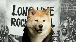 Bark - "Rock 'em dead" - (Official Audio) - PUP STAR