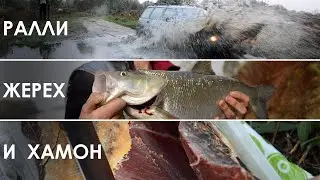 Ралли, жерех и хамон