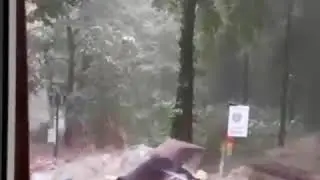 Потопище