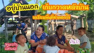 อยู่บ้านนอก Ep.831 เก็บกวาดหลังบ้านเตรียมพื้นที่ทำคอกไก่