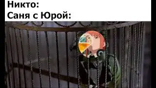 База RD