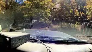 Athens County Crawlers Ohio