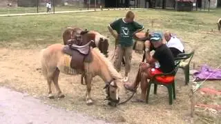 Smederevska jesen 2015