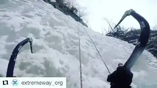 Нихалой