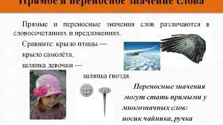 18 Прямое и переносное значение слова