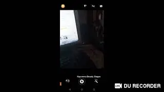 рейдим стримеров