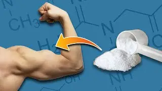 Todo Sobre la CREATINA Según la CIENCIA! - Desmintiendo Los Mitos!