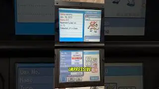 This Pokémon Soulsilver save file is CRAZY