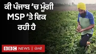 Moong Crop MSP: Punjab ਵਿੱਚ ਕਿਸਾਨ ਮੂੰਗੀ ਦੀ ਖੇਤੀ ਕਿਉਂ ਛੱਡ ਰਹੇ ਹਨ? | 𝐁𝐁𝐂 𝐏𝐔𝐍𝐉𝐀𝐁𝐈