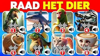 Counsel the ITALIAN BRAINROT Animal Memes 🤣❤️Brainrot Memes😀Tralalero Tralala🦈Bombardino🐊