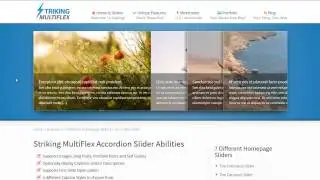 Striking - MultiFlex and Ecommerce Responsive WP Theme