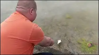 Добрый Маныч