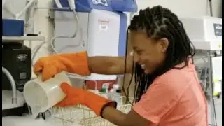 🧊Tikalab Ep 1: Yon Eksperyans sou Teknik Konsèvasyon Produi Alimantè... (#HaitianCreole subtitles)