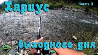 Хариус выходного дня. Часть 2