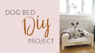 DIY DOG BED PROJECT | Upcycling & personalising a bed for Gus - Bang On Style