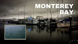 9 Monterey Bay