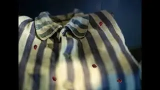 CIMICI NEI CAMPI DI CONCENTRAMENTO NAZISTI