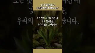 숲 속 깊은 휴식, 당신을 위한 치유의 시간 #힐링음악 #자연소리 #도파민디톡스