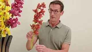 Tutorial Herbst styling mit Cymbidium