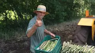Planting capiaçu in a different way.