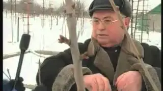 Агрошкола 