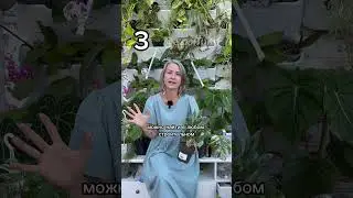ШПАРГАЛКА ОТ КЛЕЩА/ больше пользы в моем тг t.me/spottykit