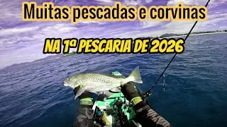 Pescada e corvina largadas na Vila na 1ª pescaria de 2026