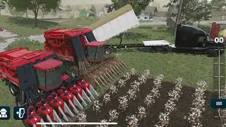 Farming Simulator 23 Cotton