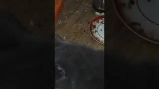 Вася ест #shorts
