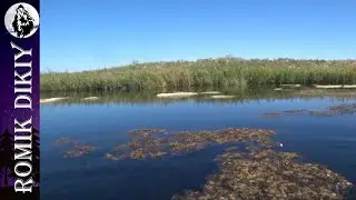 Закрыл сезон рыбалки. 27-30августа 2022г.