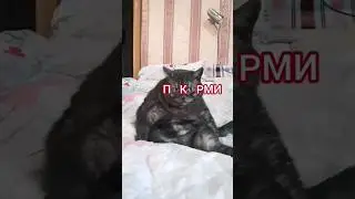 Ну как можно устоять? 😆