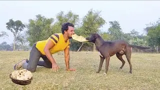 Amazing Funniest Entertainment video By Bindass club