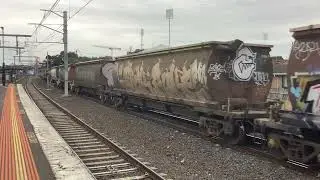 IMG 2449