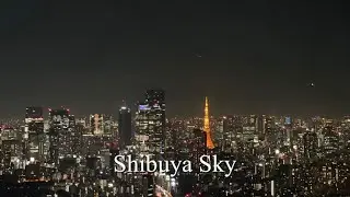 일본🇯🇵도쿄 야경 명소 시부야 스카이 전망대 Tokyo Shibuya Sky
