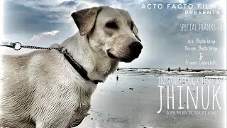 JHINUK || (4K) Short Film || For All Dog Lovers || Silent Picture