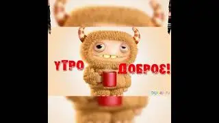 Смішне Відео З ДОБРИМ РАНКОМ! Позитив на весь день.