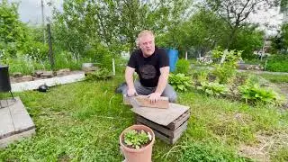 ОПАНЬКИ! «Евро 2020. За кого болел?»