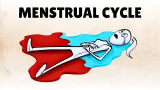 How Periods And Hormones Impact Mood [Menstrual Cycle]