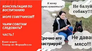Куча советчиков кругом? Что делать Владельцу собаки, к кому прислушаться?