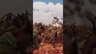 7,500,000 CHAOS DAEMONS vs ASTRA MILITARUM 