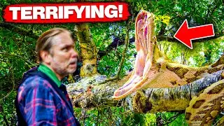 The TERRYFING Last Moments Of Herpetologist Joseph Slowinski