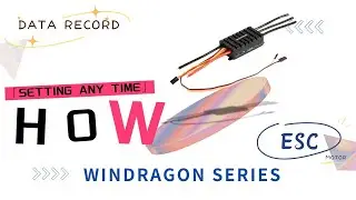 Flycolor Windragon ESC setting