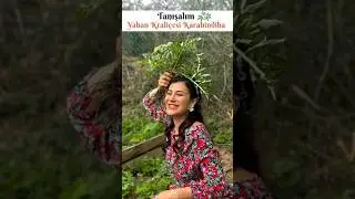 Tanışalım Yaban Kraliçesi Karahindiba 🌿
