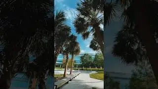 Random Orlando Clips